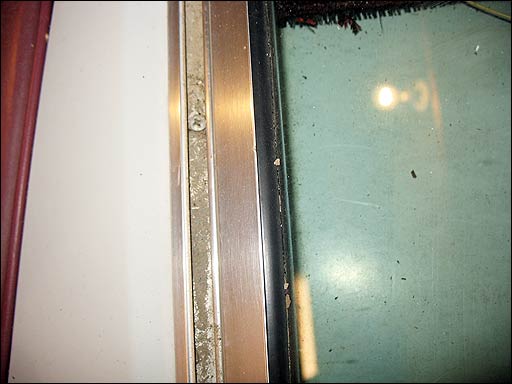 windshield-donor4.jpg