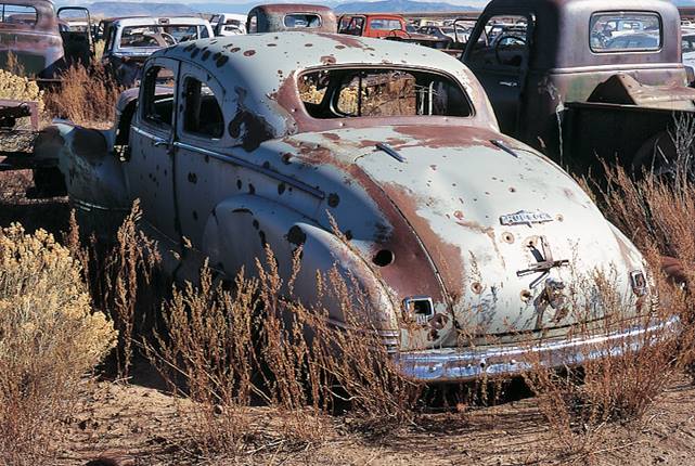 Ford and sons salvage #5